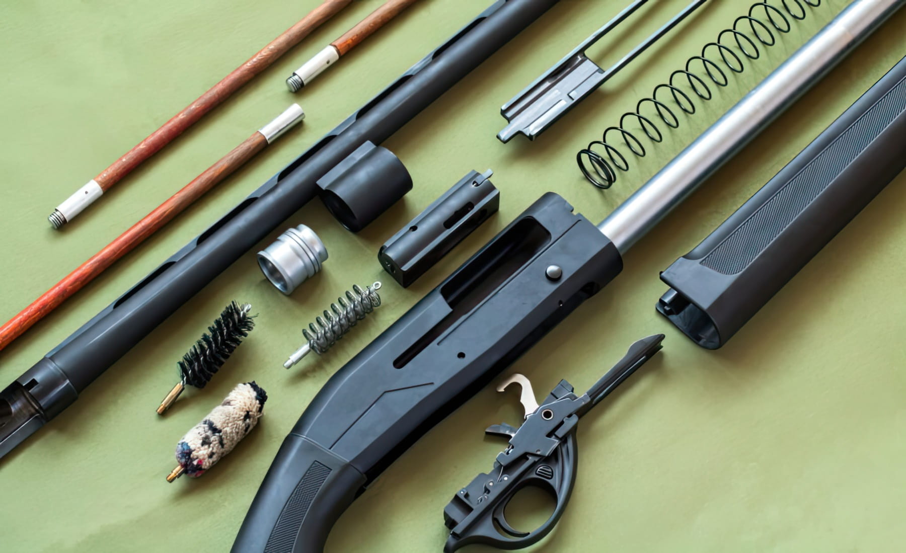 A Disassembled Shotgun
